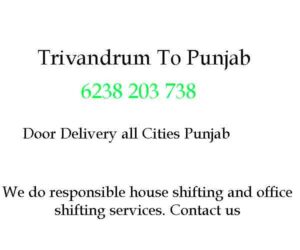 trivandrum to punjab movers 